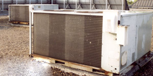 Murphys Environmental Control | PROJECT | 8203 Willow Place South