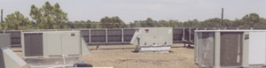 Murphys Environmental Control | PROJECT | 8203 Willow Place South