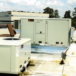 Murphys Environmental Control | PROJECT | 4420 FM 1960