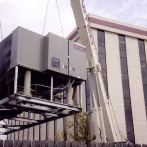 Murphys Environmental Control | PROJECT | 8203 Willow Place South